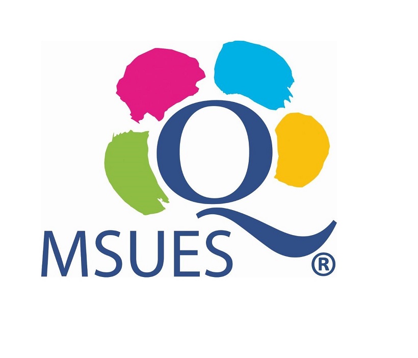 logo: Małopolskie Standardy Usług Edukacyjno-Szkoleniowych